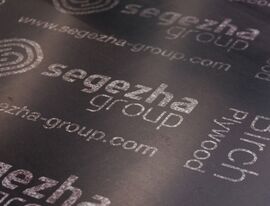 Segezha Group продала  активы в Европе из-за санкций