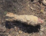 В Ленобласти нашли снаряд и мину времен Великой Отечественной войны