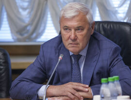 Анатолий Аксаков призвал власти сократить число проверок бизнеса