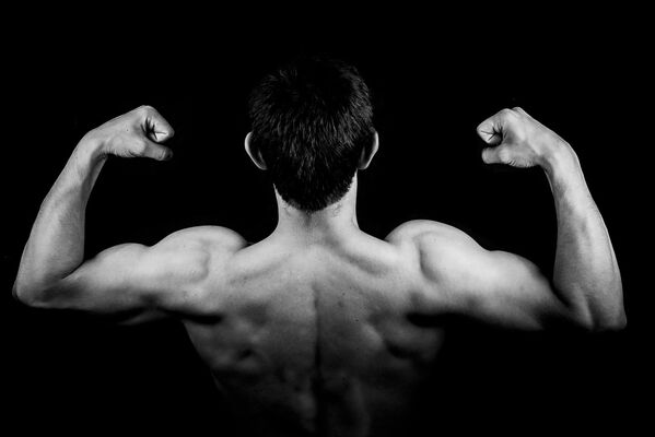 Равновесие  тела и перемещение: для чего человеку мышцы
