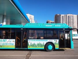 В Петербурге определят реальный экологический эффект при эксплуатации автобусов
