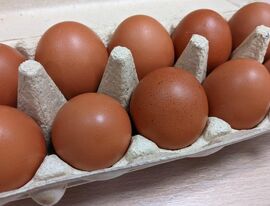 ФАС напомнила участникам рынка о запрете на повышение цен на яйца перед Пасхой