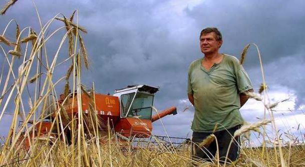 Профессию фермера назвали одной из самых опасных в России