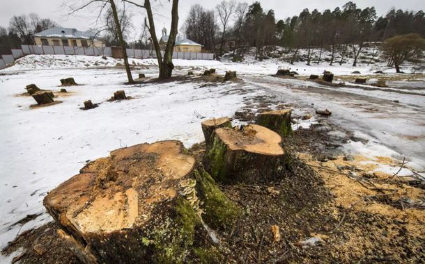 Финские эксперты раскритиковали реставрацию парка Монрепо в Выборге
